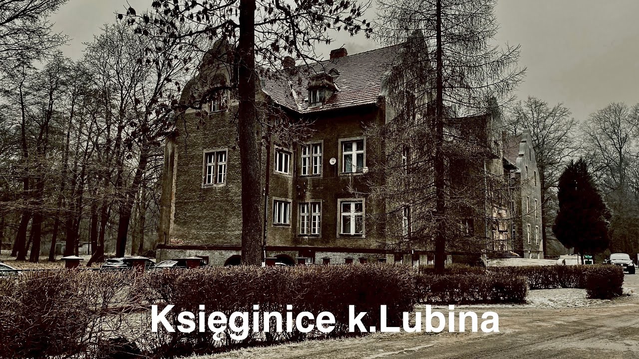 Księginice k.Lubina - Pałac Instytucja 