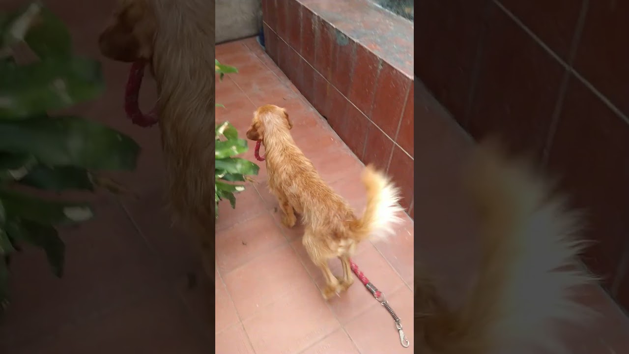 9 de janeiro de 2026