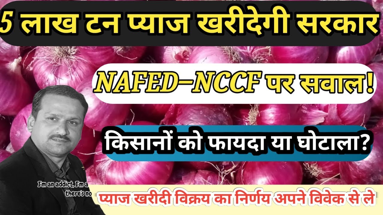 5 लाख टन प्याज खरीदेगी सरकार!NAFED-NCCF पर सवाल।12 मार्च 2026