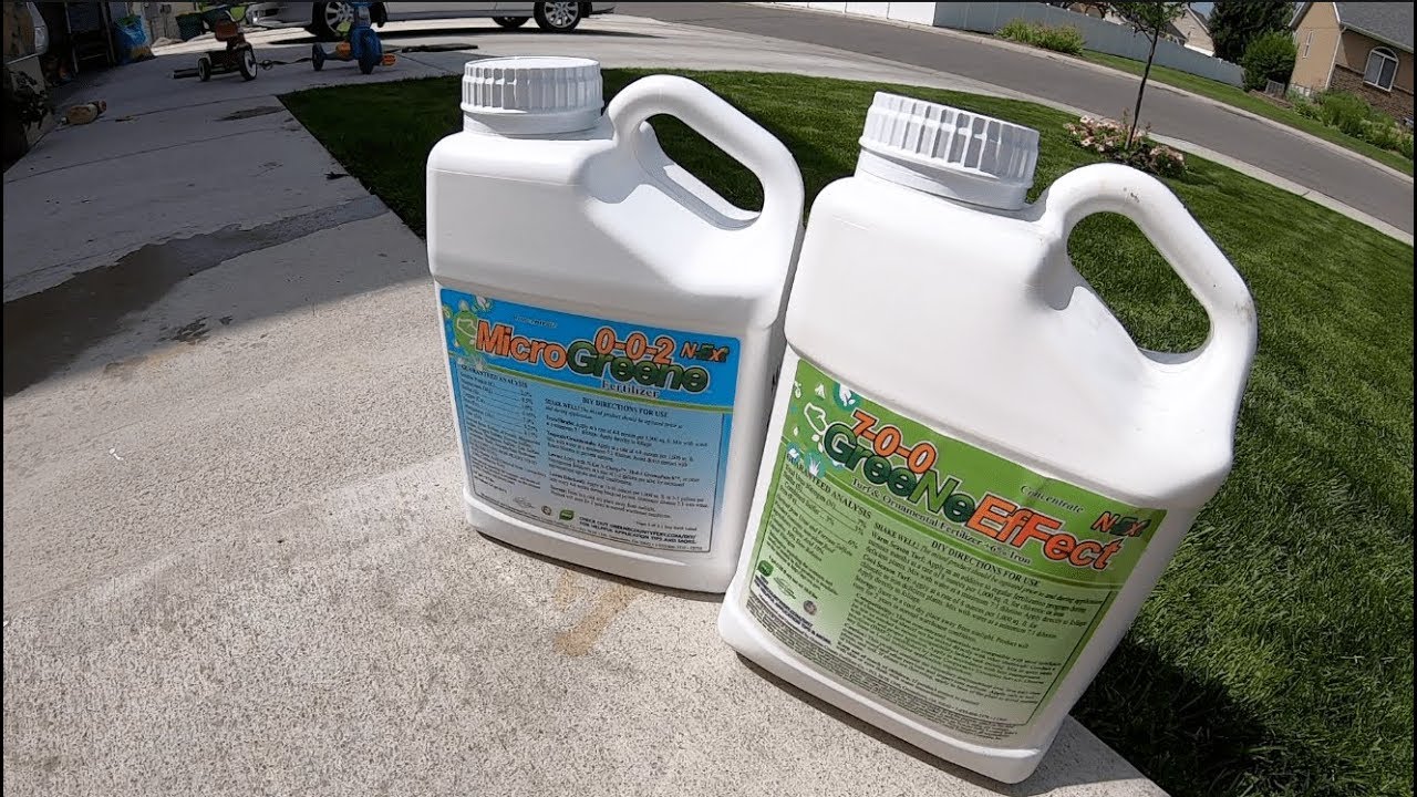 How to Make Your Lawn Double Dark™️ Green