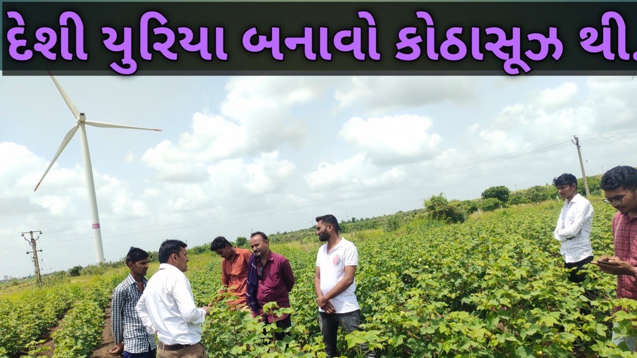 દેશી યુરિયા બનાવો કોઠાસૂઝથી...! Make indigenous urea resourcefully