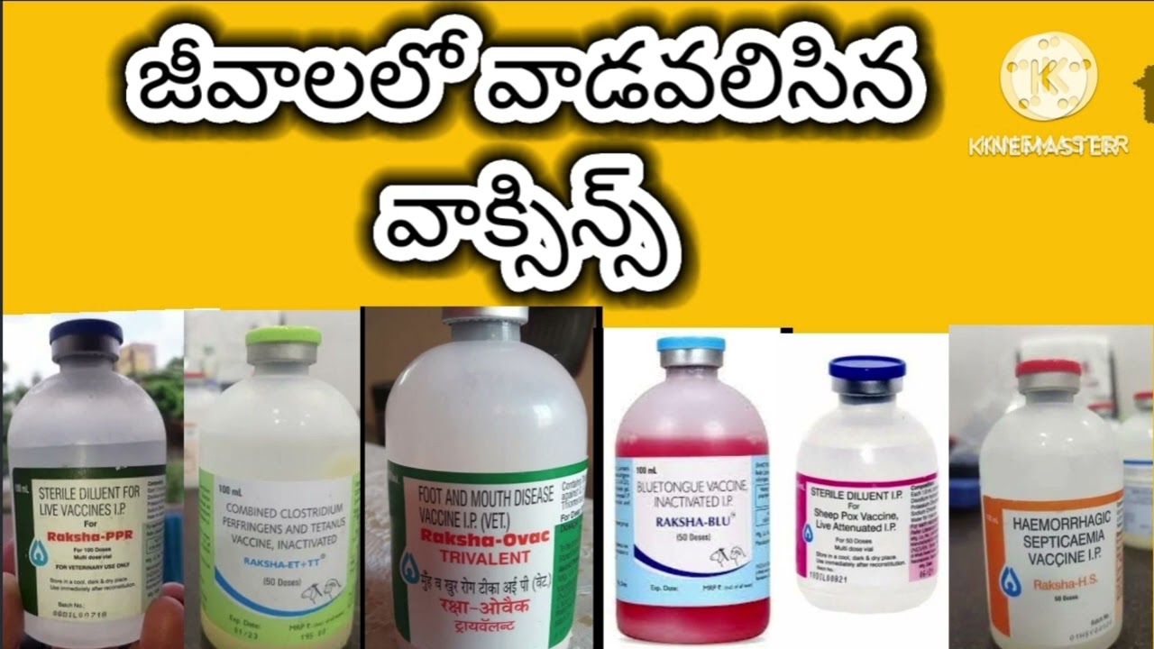 జీవాలలో వాడవలిసిన వాక్సిన్స్, vaccination schedule for sheep #sheep #goat #sheepfarming