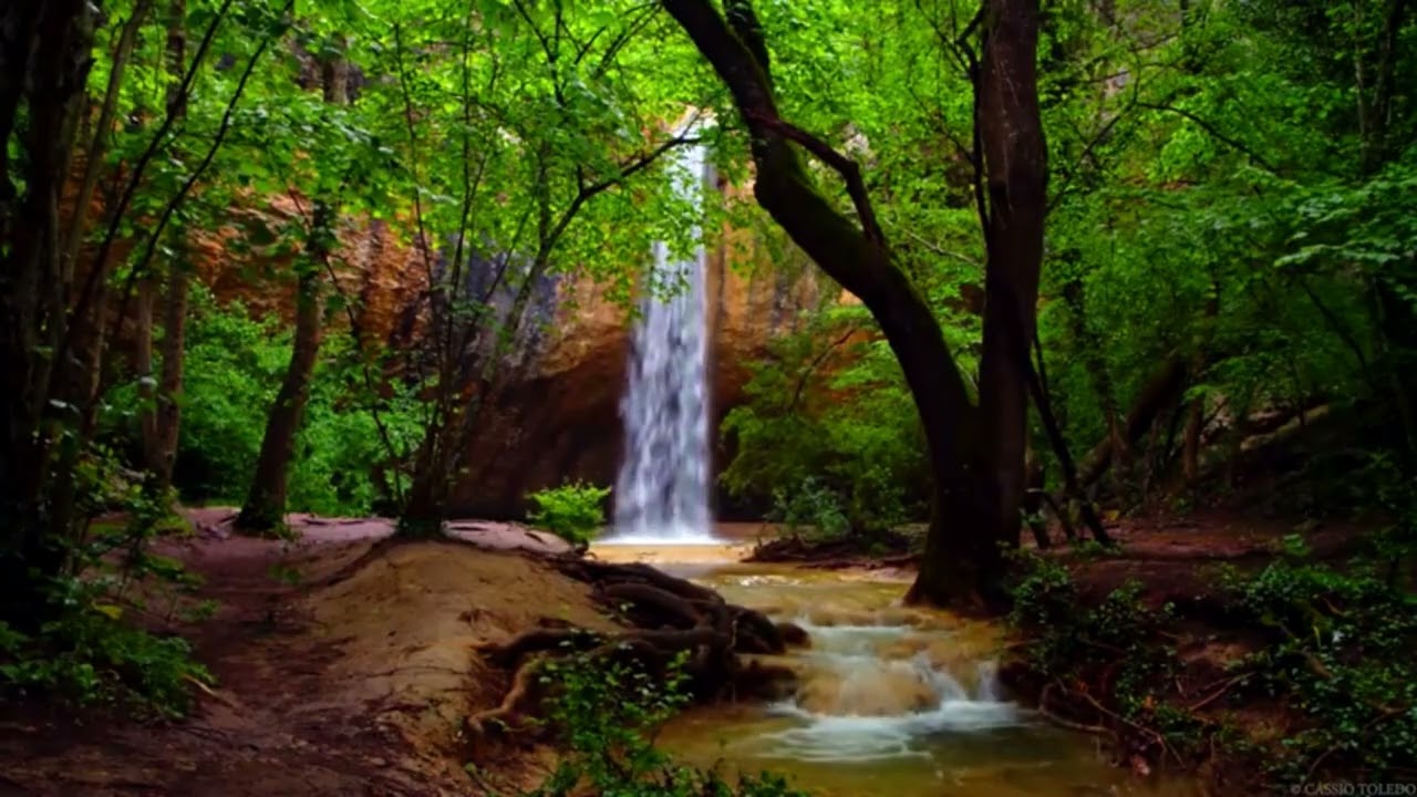 Miércoles de Meditación 051125