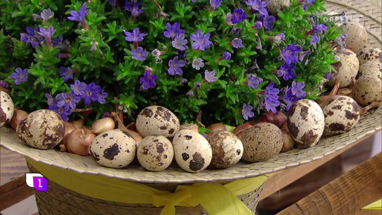 Wildwuchs Wien: Gepflanzte Osterdekoration
