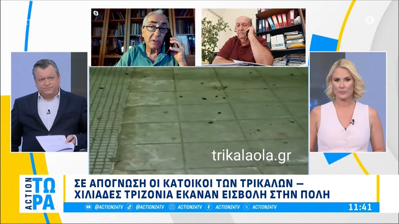 Τρίκαλα: Σε απόγνωση οι κάτοικοι, χιλιάδες τριζόνια έκαναν εισβολή στην πόλη | ACTION 24