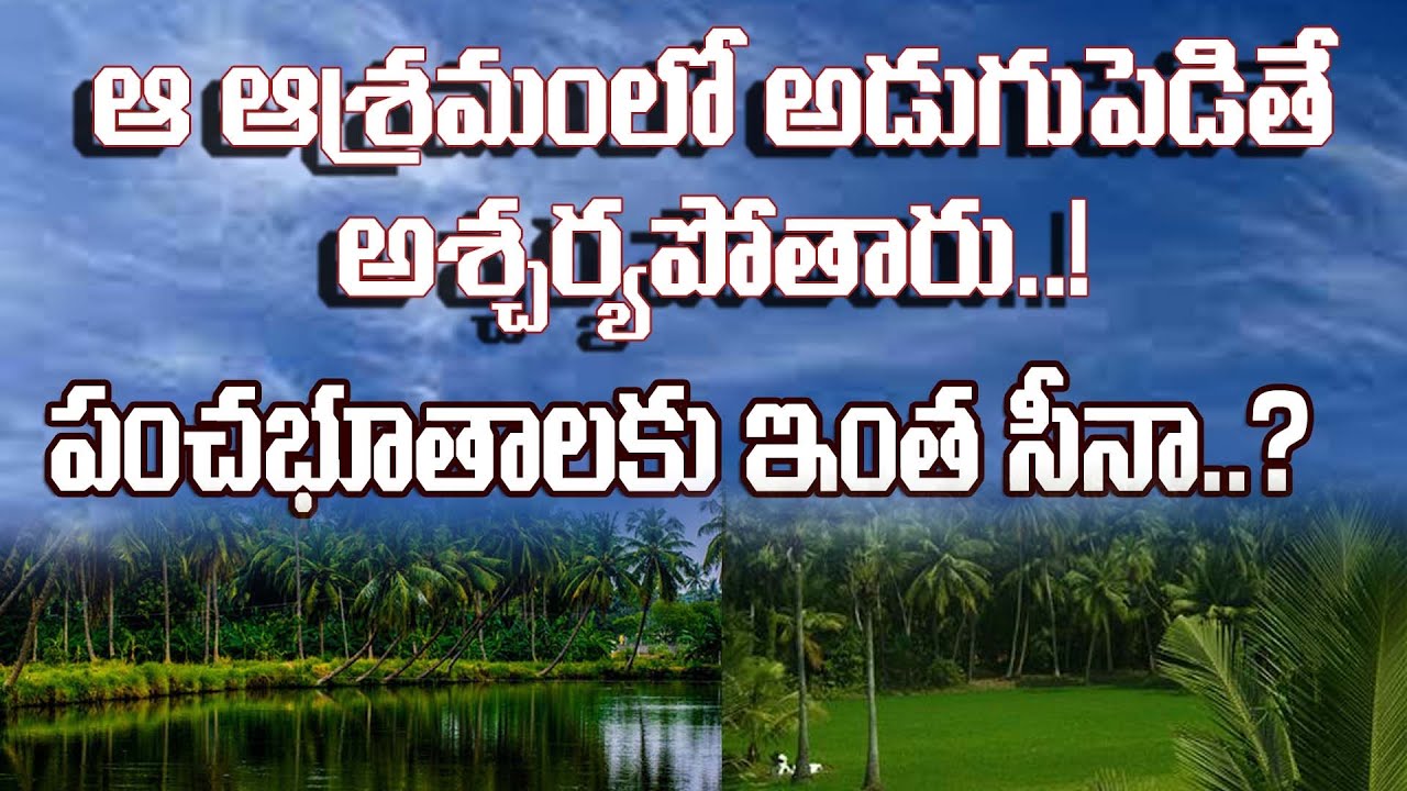 ప్రకృతి సహజ వైద్యం...ప్రకృతిలోనే సమస్తం..!#godavarivibes