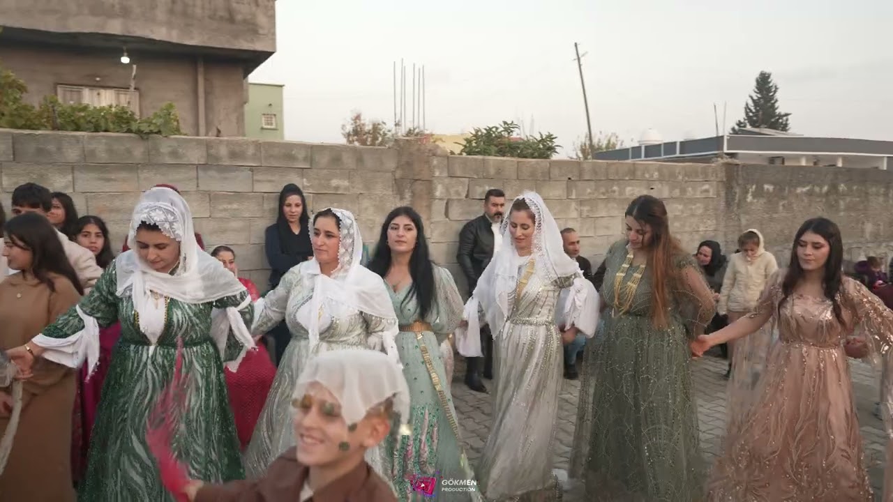 Kadir Bozkurt Düğünü Part 7 ( Grup Welat Silopi 2 ) 2025