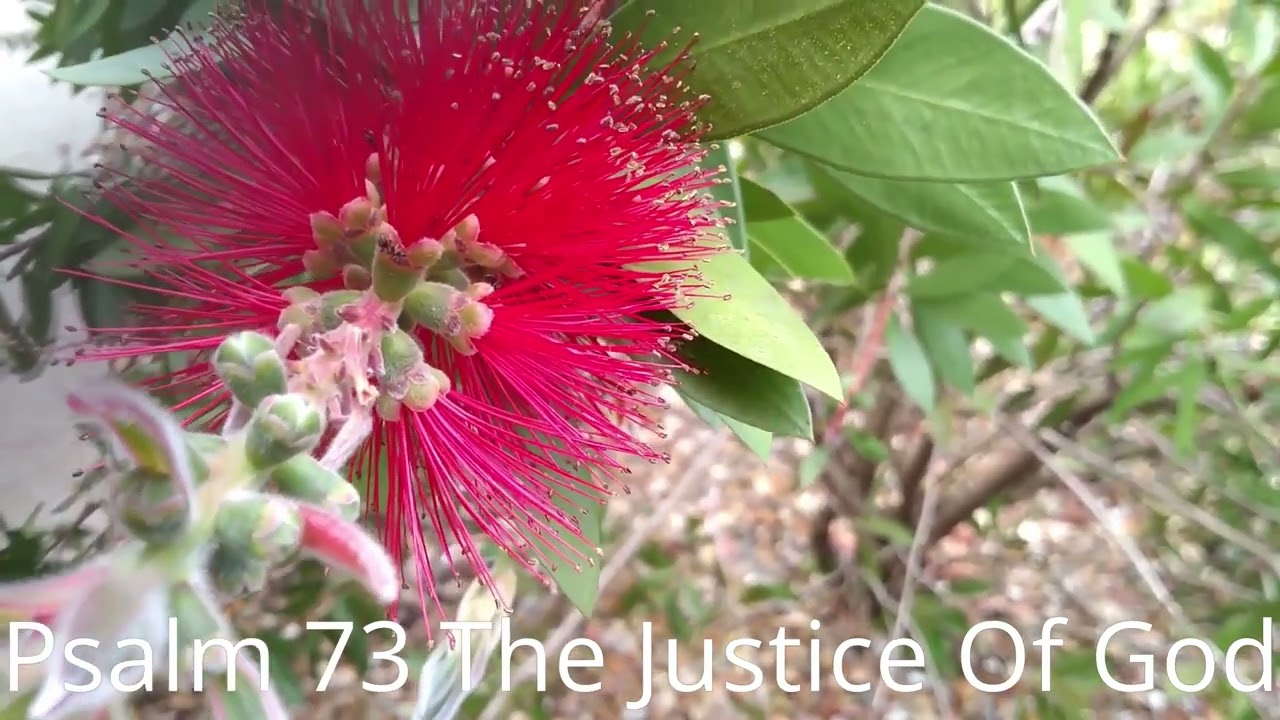 Psalm 73 The Justice Of God