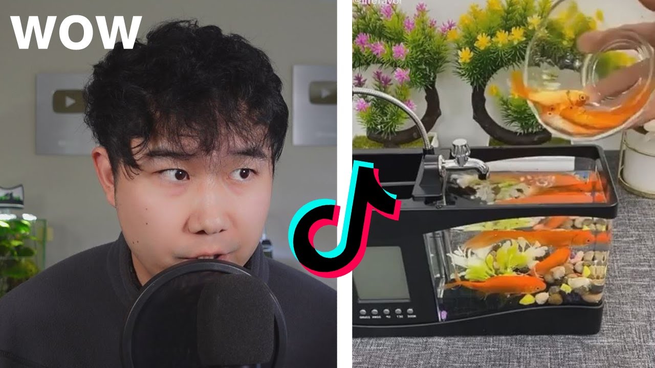 Fish keeper REACTS to TIKTOK FISH TANKS | Fish Tank Review 155