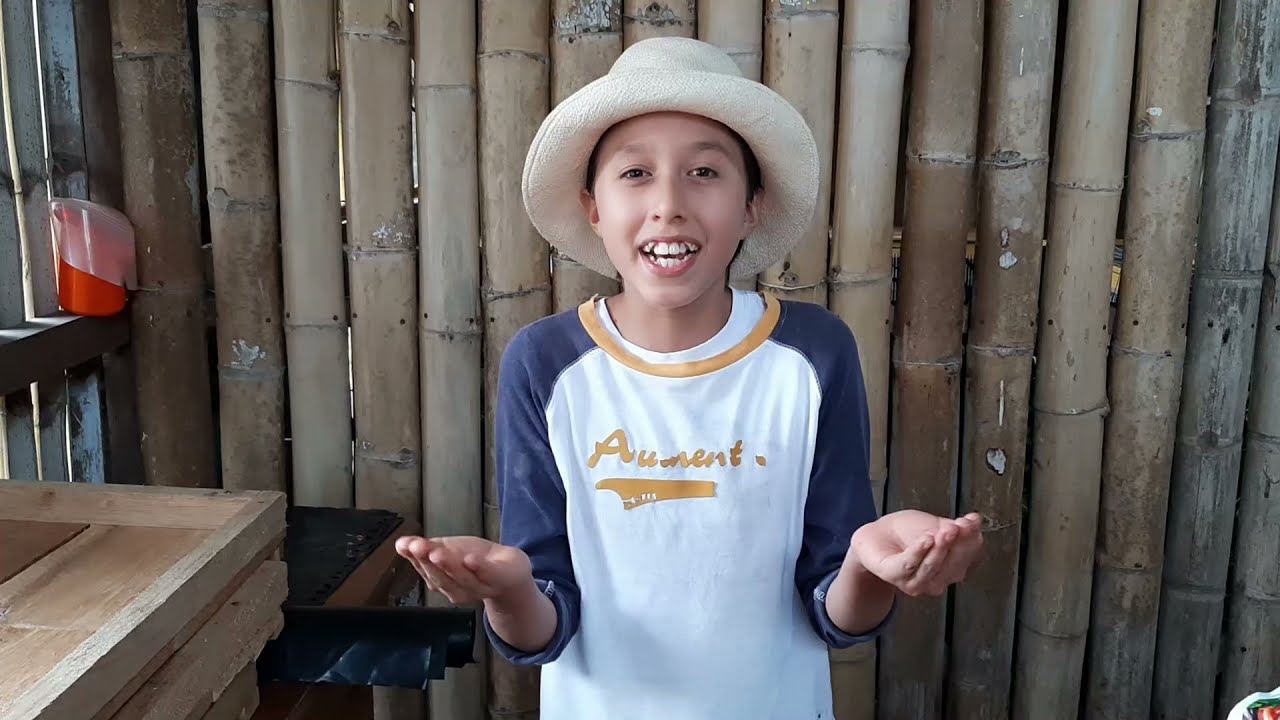 CRIANZA DE CUYES: Parte III Elaboración de Forraje Verde Hidróponico.