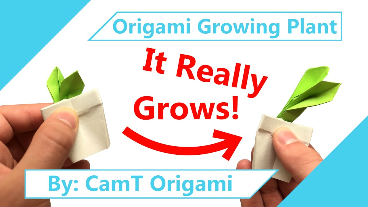 Origami Growing Plant UNDER 15 MINS!