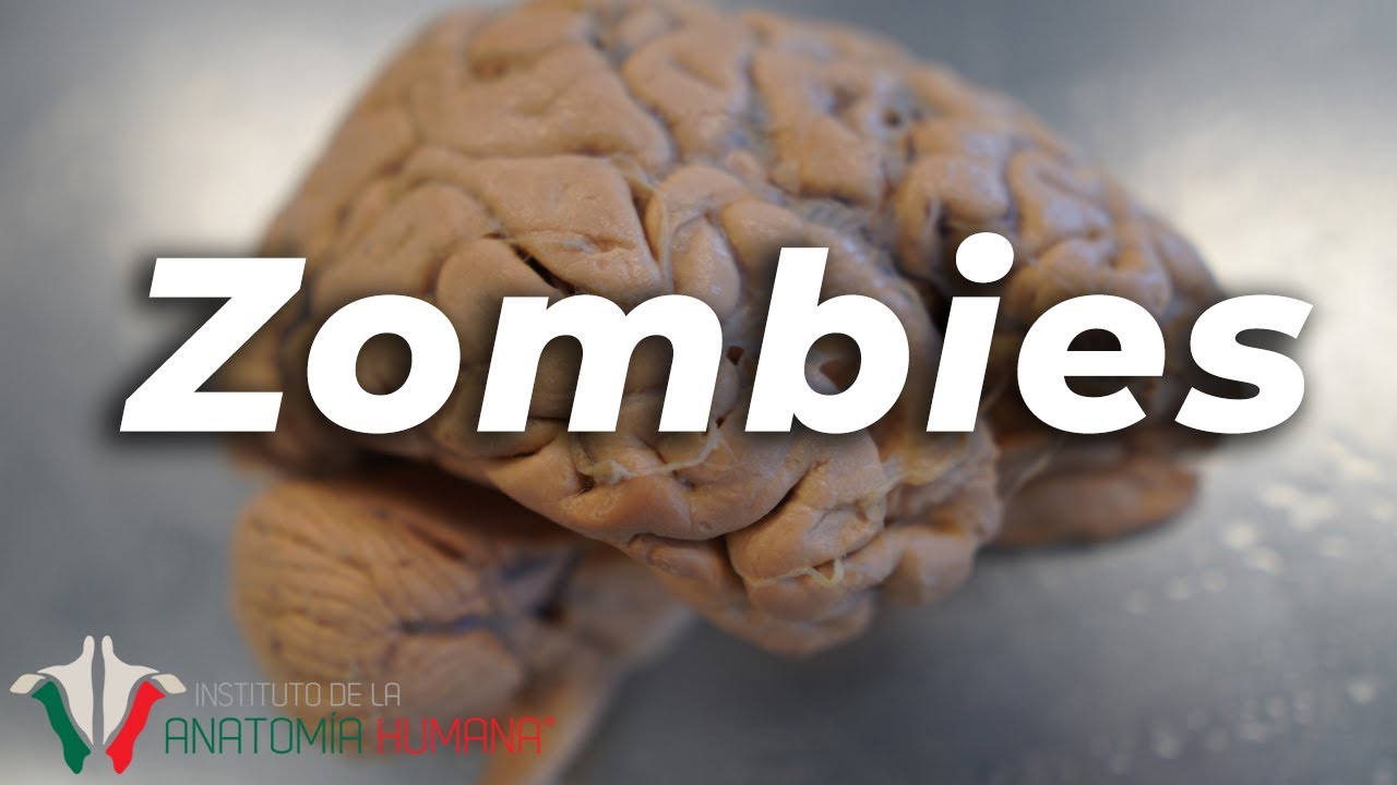 Por ESTO los ZOMBIES son IMPOSIBLES