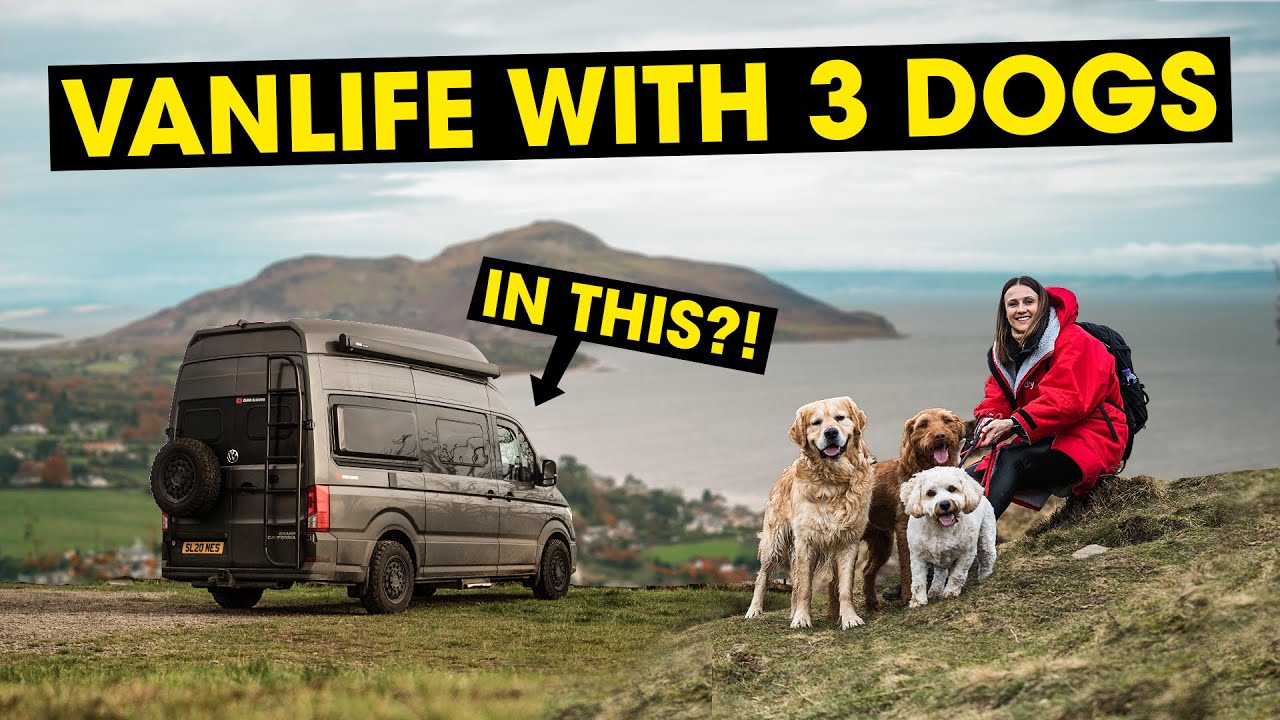 Impossible 3 Dogs Vanlife!