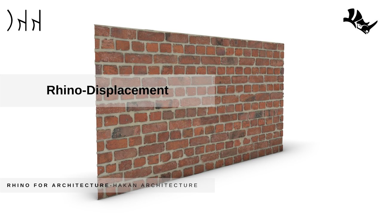 Rhino Displacement
