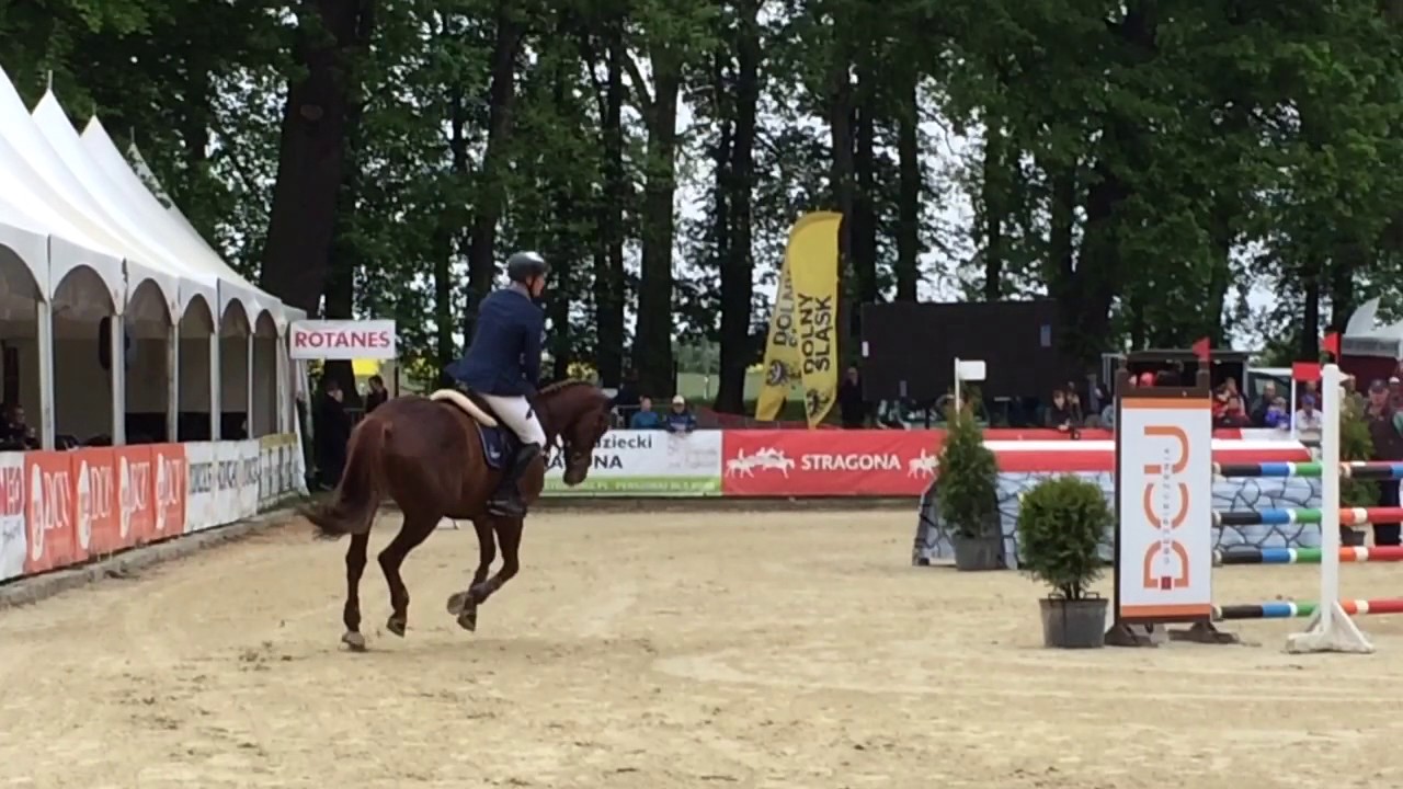 Frontiera-CIC** STH 2017