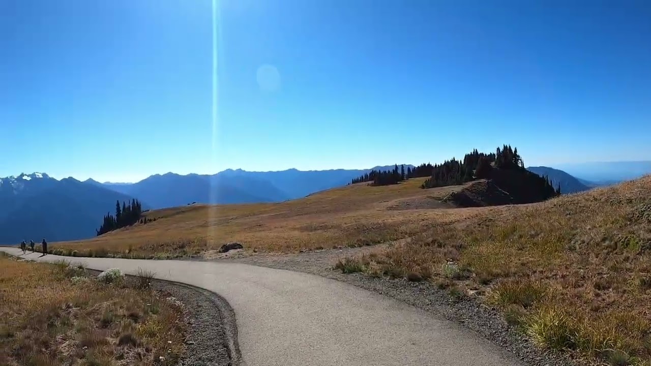 Hurricane Hill hike. Mount Rainier National Park 2025
