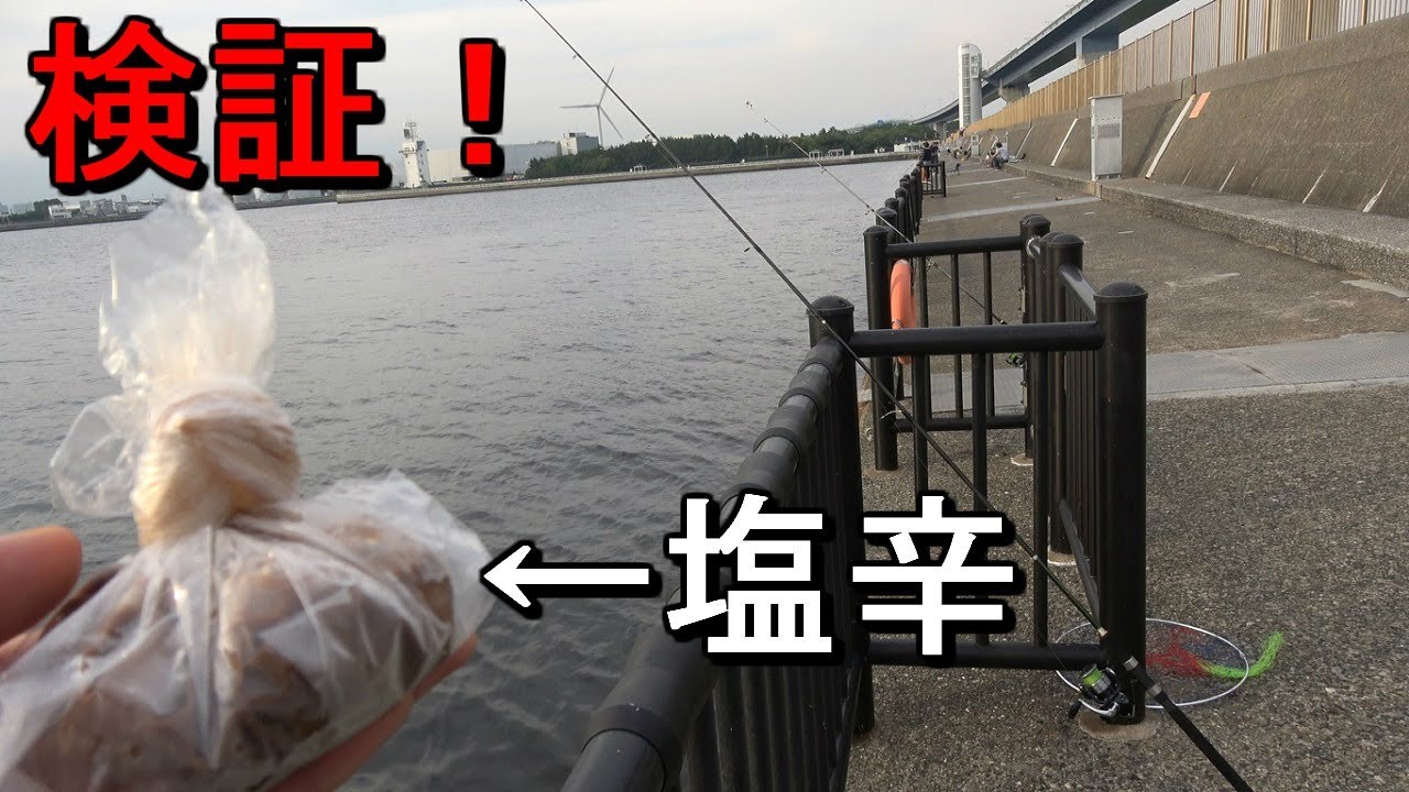 【若洲海浜公園】イカの塩辛で魚は釣れるのか？驚きの検証結果に…【2018.06.21】