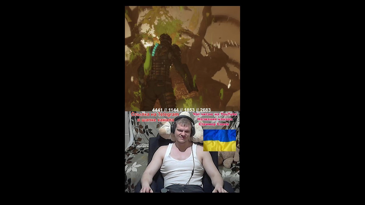 Санизи стримить