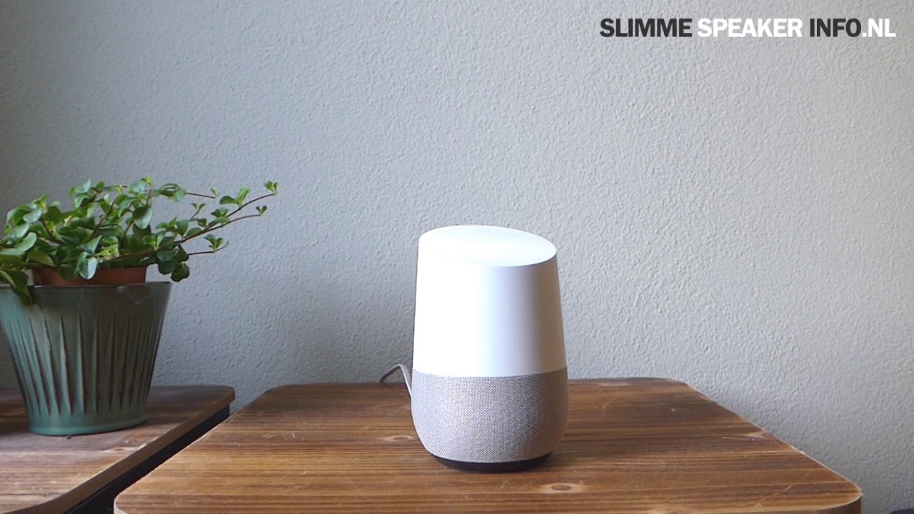 Google Home maakt grap in het Nederlands