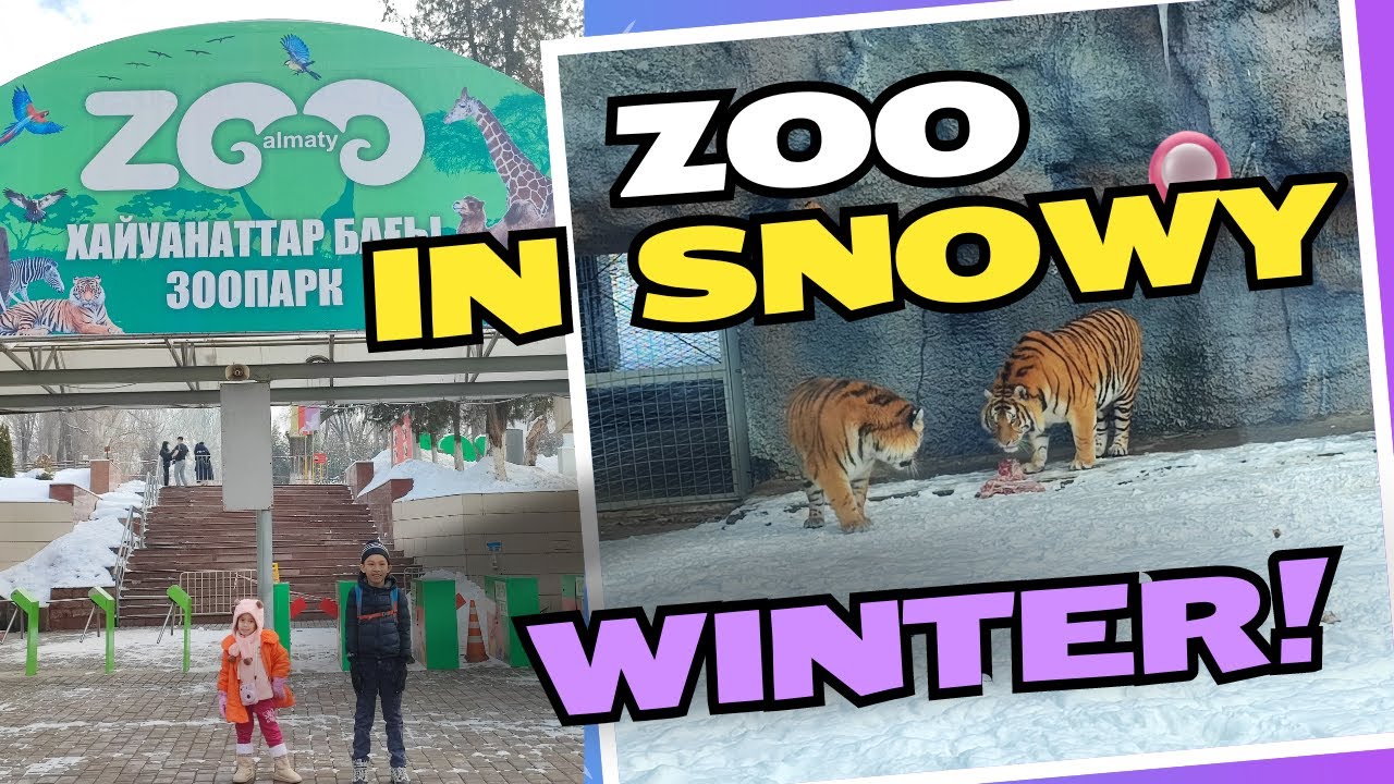 Kazakhstan - Zoo Almaty in Snow!