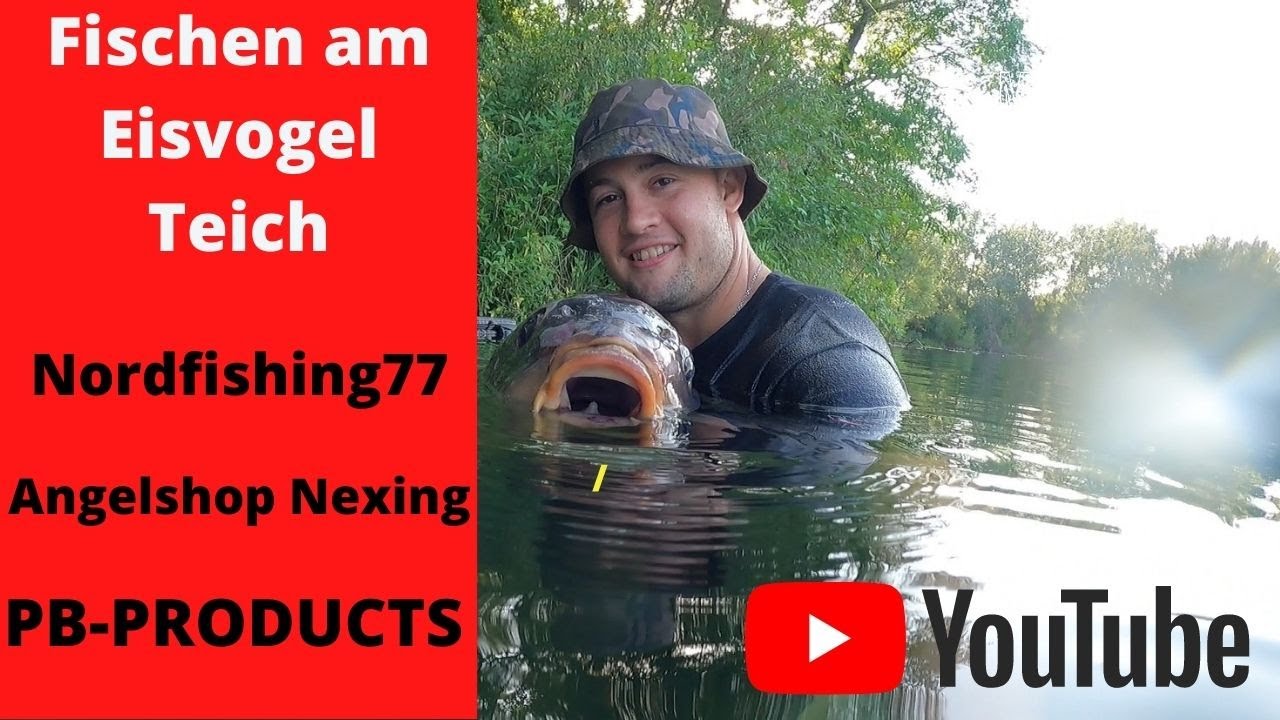 🐟☀️Fischen am Eisvogelteich in Stockerau☀️🌳