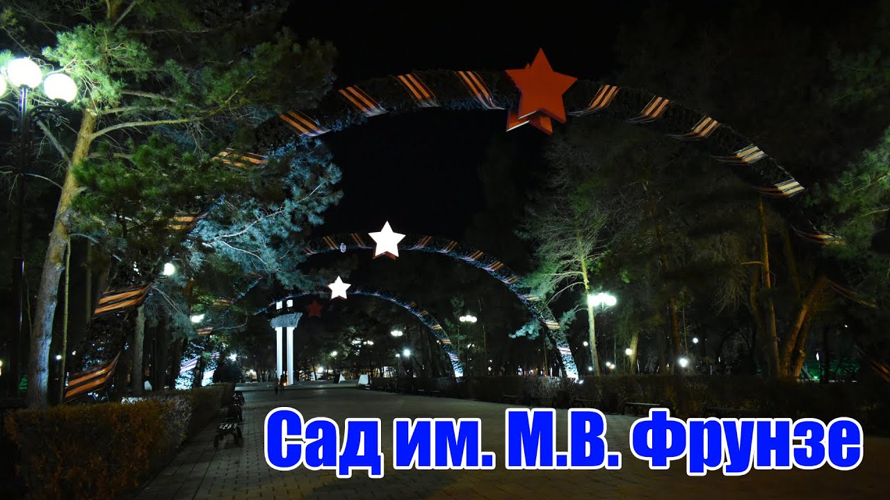 Городской сад им. М.В. Фрунзе в ночное время / City Garden M.V. Frunze at night
