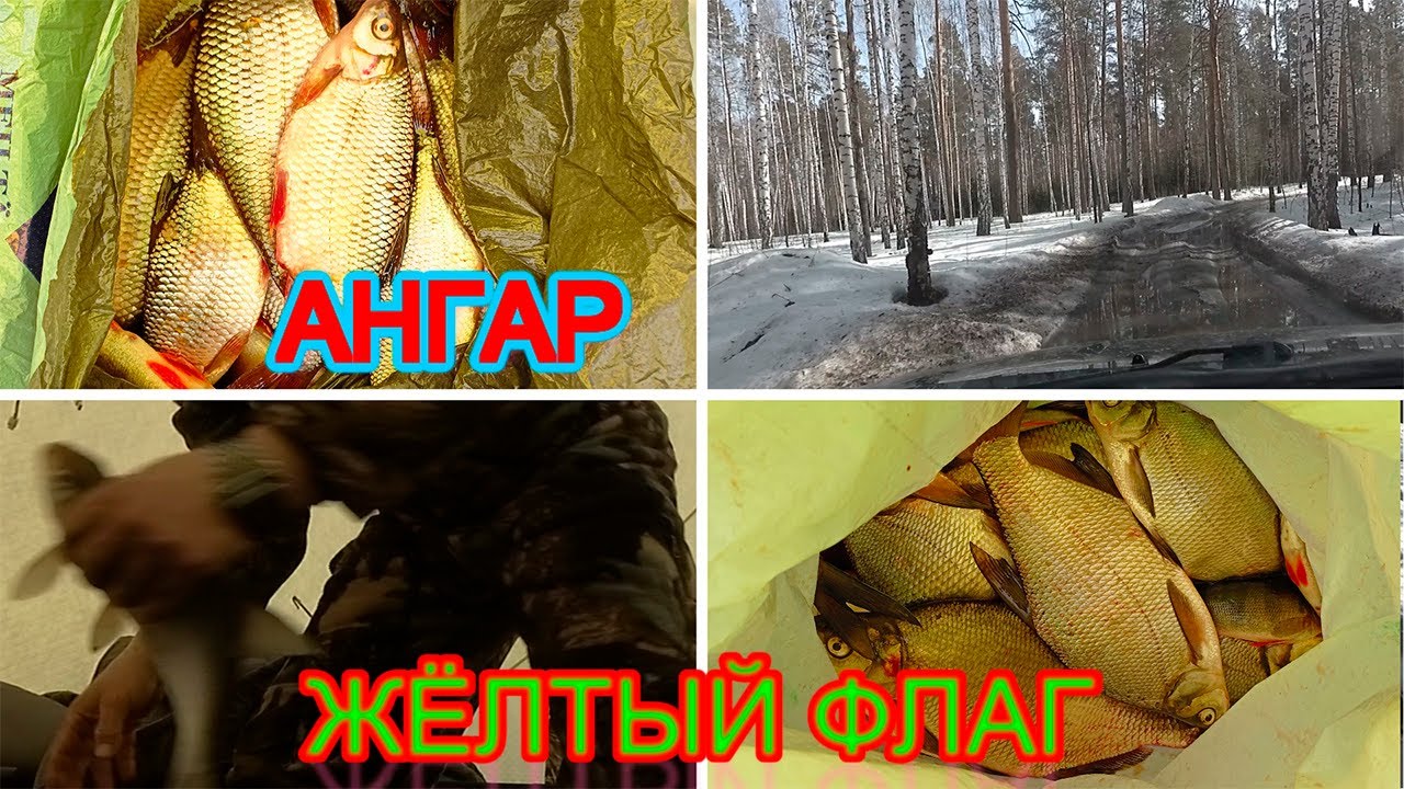 АНГАР+ЖЁЛТЫЙ ФЛАГ= ЧЕБАК  ЛЕЩ . ОТЧЕТ 3.04.24