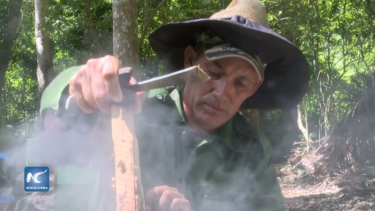 Cuba mantiene su apuesta por exportaciones de miel en 2022