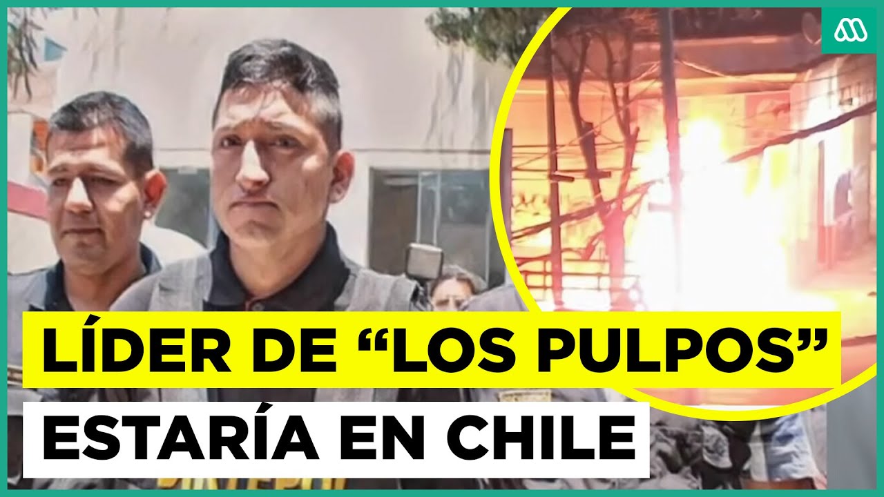 Líder de 