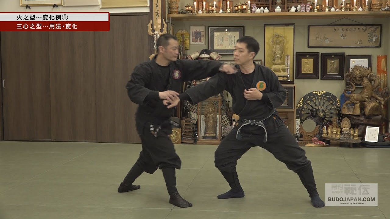 逆井則男師範【重要な打撃型 火之型】初見良昭の秘技継承・武神館の武術　- BUJINKAN BUDŌ TAIJUTSU - GREAT COMBAT SYSTEM OF MASAAKI HATSUMI