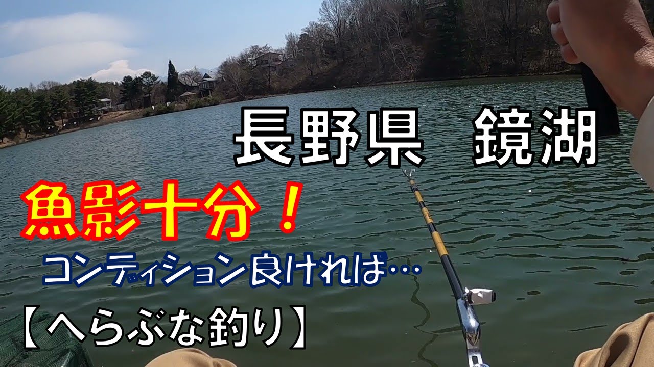 【長野へらぶな遠征】その3＠鏡湖