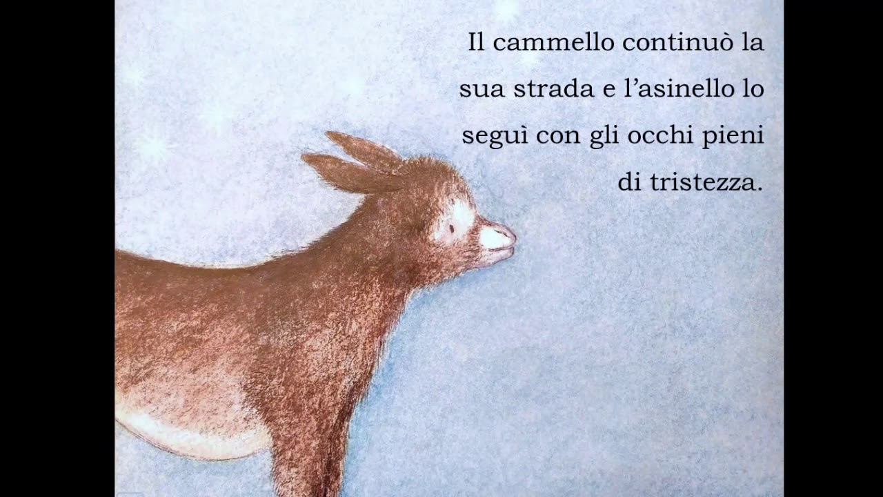 Un asinello a Betlemme
