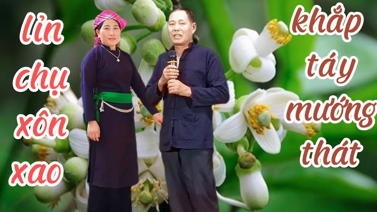 lỉn chụ xôn xao hát giao duyên hay nhất văn bàn khắp chào mừng liên hoàn hát nôm văn bàn lần thứ ba