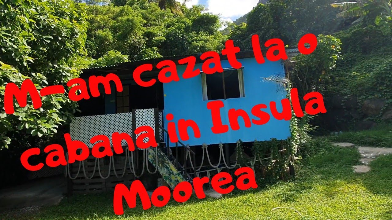 M-am cazat intr-o cabana in Insula Moorea Polinezia Franceza