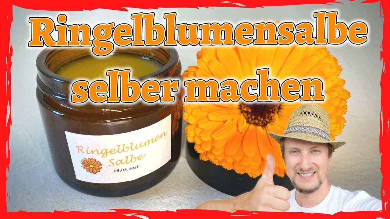 Ringelblumensalbe selber machen 🌼🌞😍 frisch vom Balkongarten