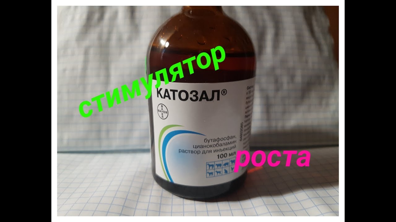 СТИМУЛЯТОР РОСТА ! ПРИСТРОЙКА К САРАЮ.