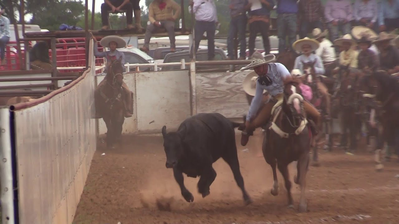 LAS  MEJORES REDONDAS DEL COLEADERO EN LIENZO CHARRO EL CENTENARIO EN HENNESSEY OK 7/5/2020