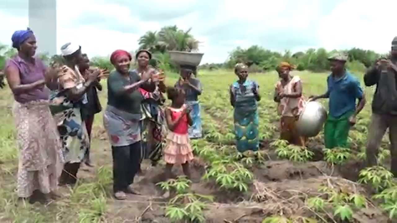 ACED lutte contre la jacinthe d'eau au Bénin