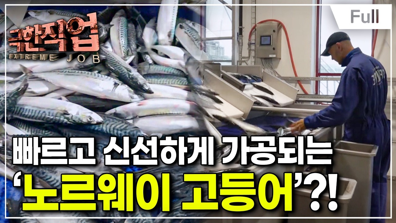 [Full] 극한직업 - 노르웨이 고등어와 연어