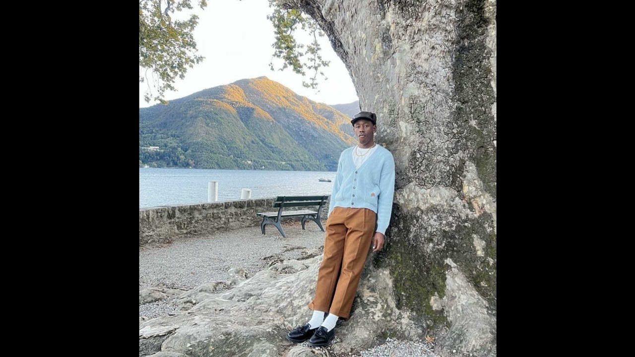 [FREE] TYLER, THE CREATOR X STEVIE WONDER TYPE BEAT 