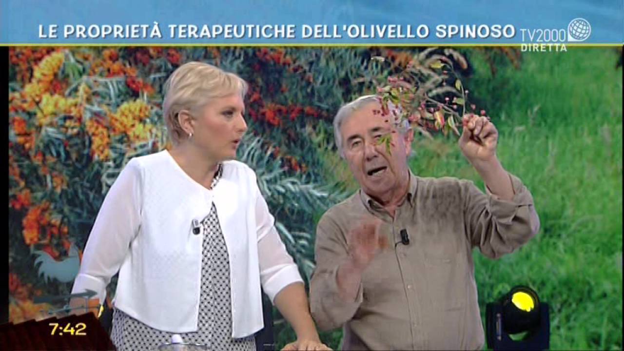 Le propriet&agrave; terapeutiche dell'olivello spinoso