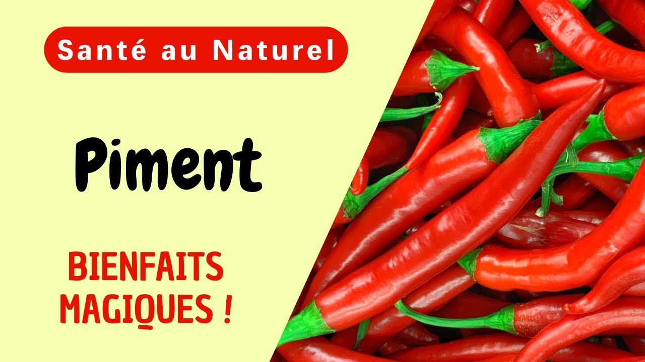 Les bienfaits surprenants du PIMENT : êtes-vous prêt à les découvrir ?