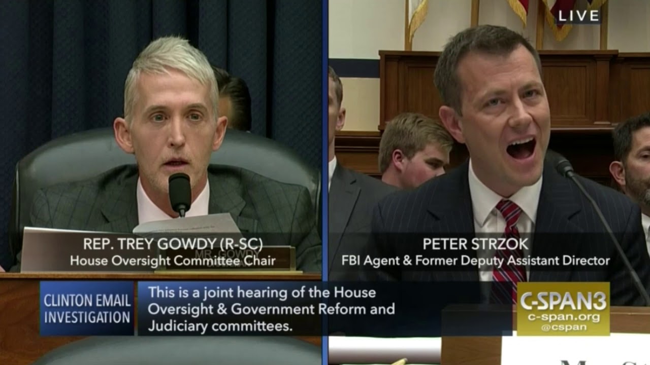 Rep. Trey Gowdy Destroys FBI Agent Peter Strzok
