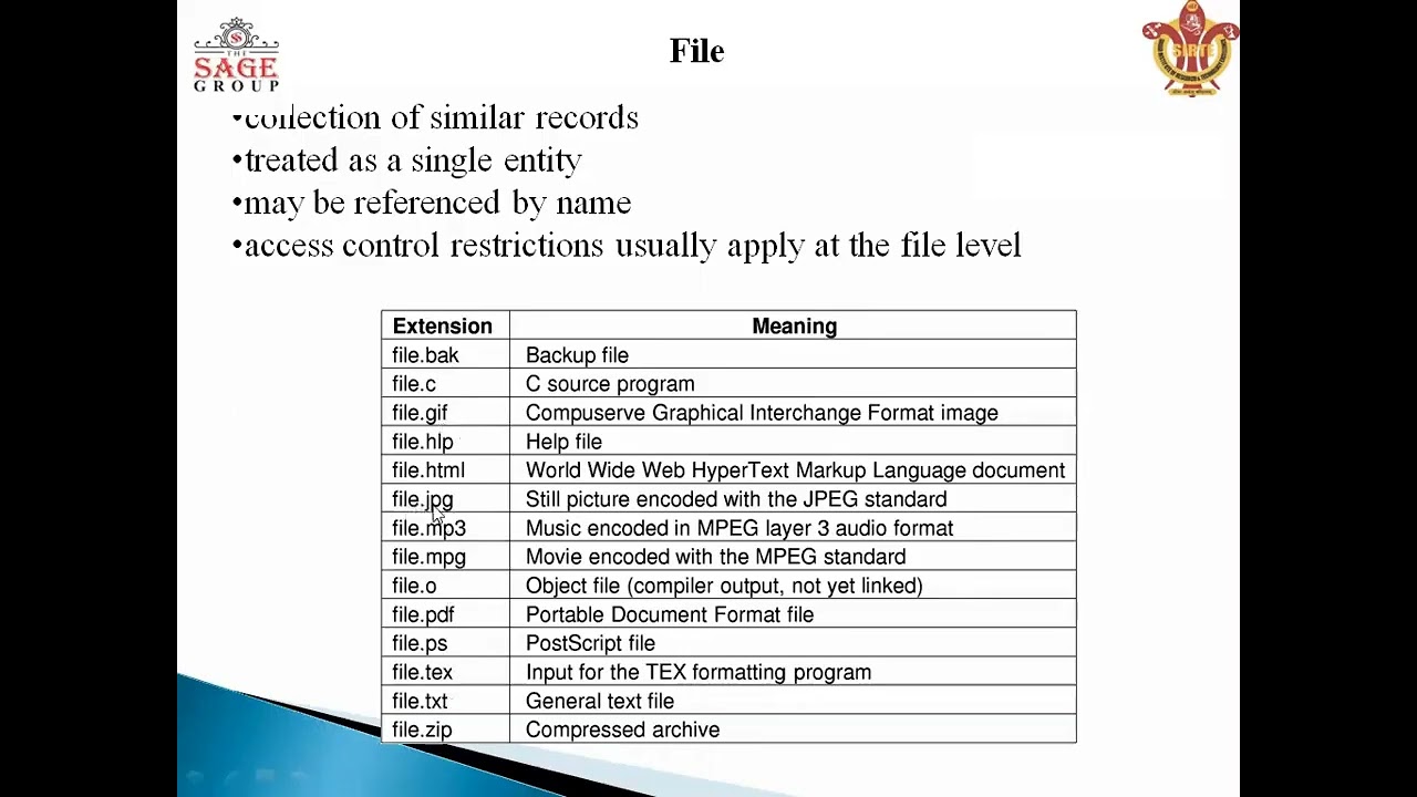 Discuss about files & Attributes 2