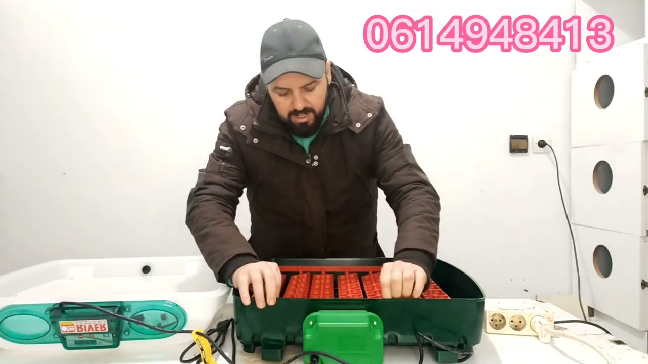 فقاسة ريفر الايطالية مميزاتها 0614948413