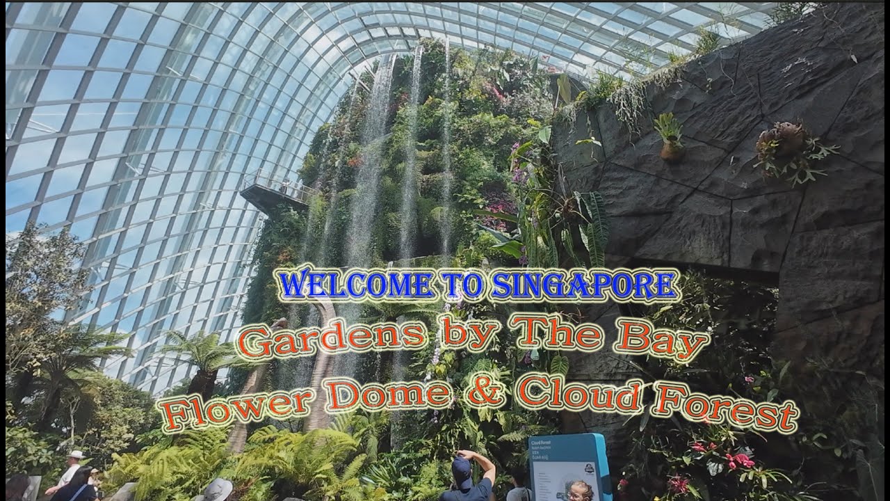 Gardens by the Bay Flower Dome & Cloud Forest in Singapore