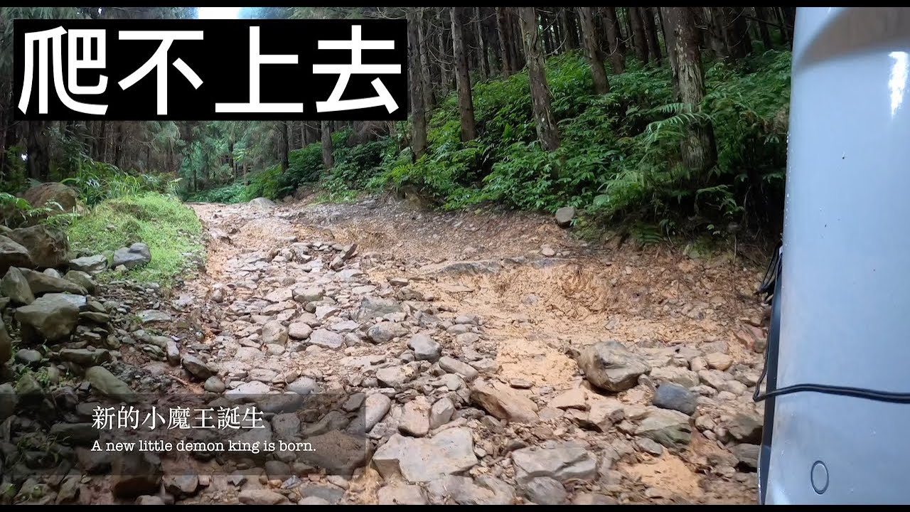 [4K] 爬二次上不去 小魔王誕生 蓬萊林道 20230824 | 日野系列 | (難度: ⭐️⭐️⭐️) Land Rover Discovery