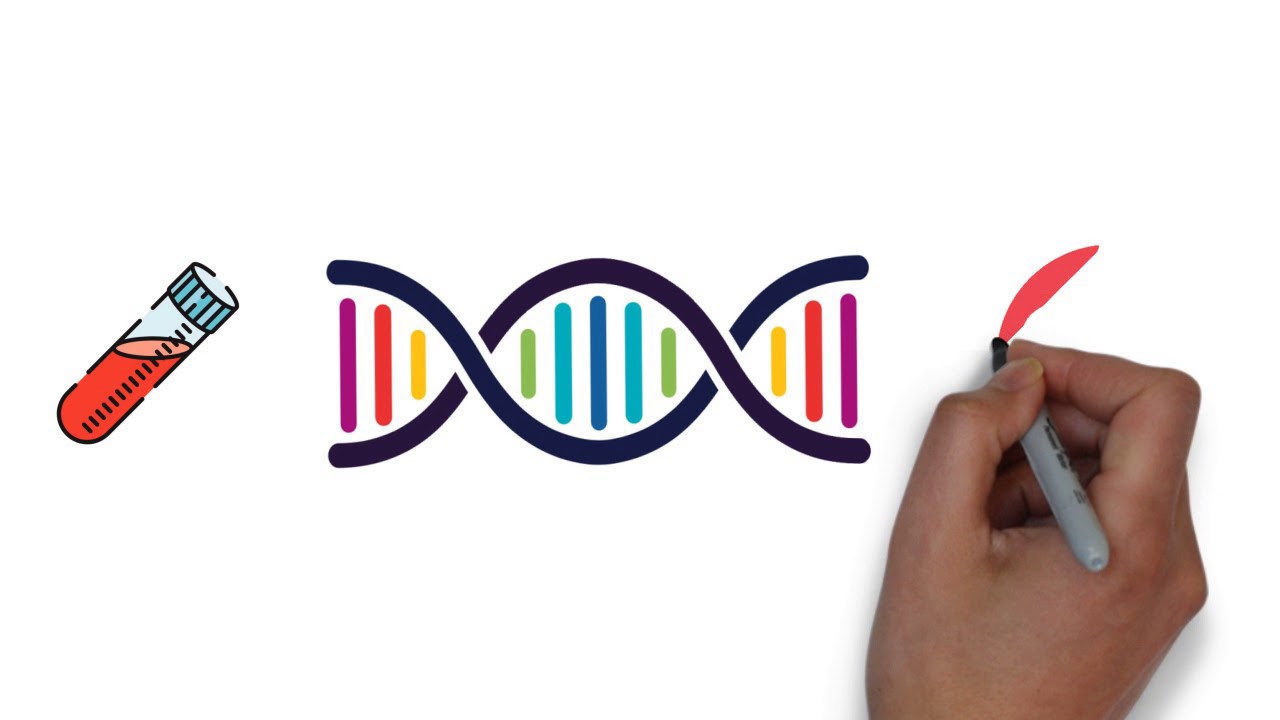Screening in Pregnancy