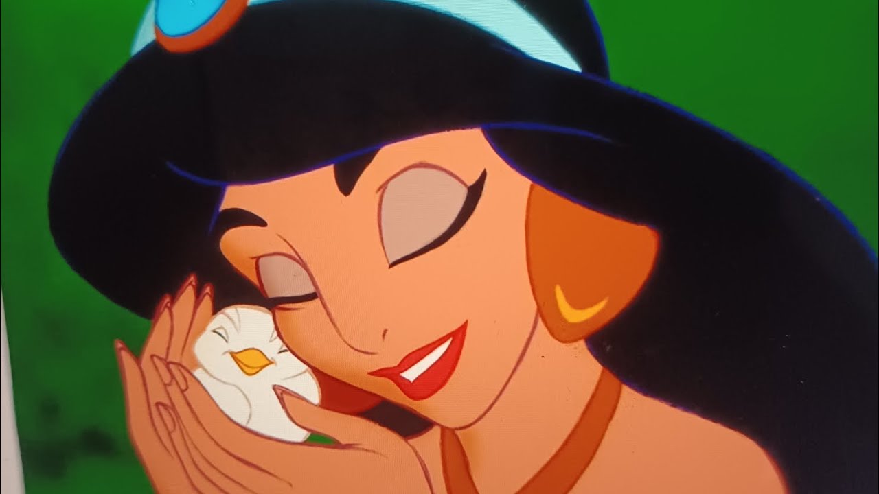 Disney collection video Princess Jasmine #collection #disneyprincess #about me #disney 