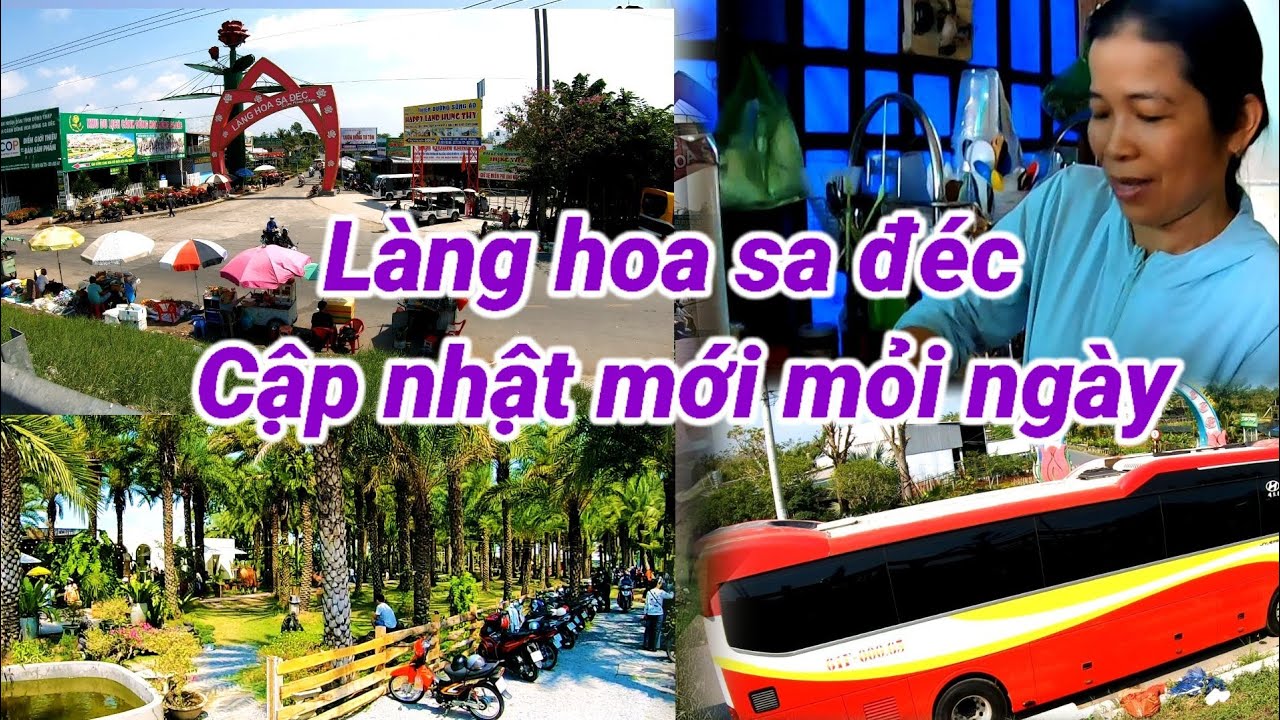Làng hoa sa đéc những ngay sắp tết